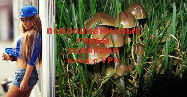 Альфа ПВП Балабаново