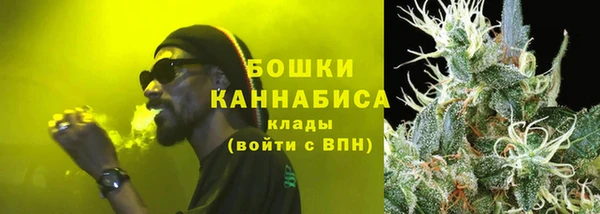 ГАЛЛЮЦИНОГЕННЫЕ ГРИБЫ Баксан