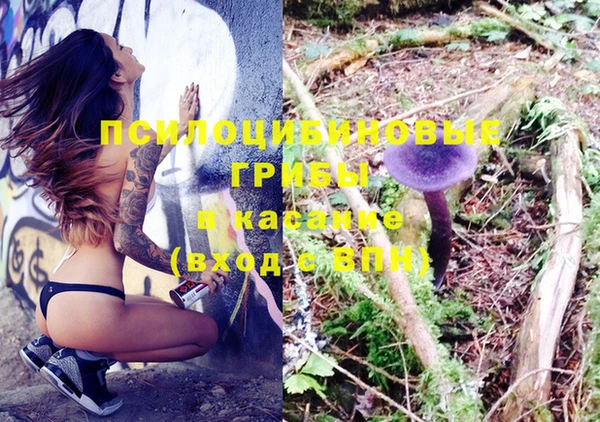 ГАЛЛЮЦИНОГЕННЫЕ ГРИБЫ Баксан
