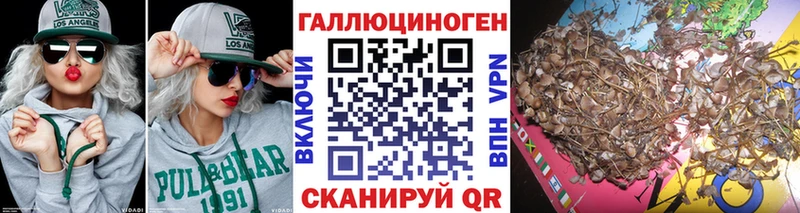 Галлюциногенные грибы GOLDEN TEACHER  Власиха 